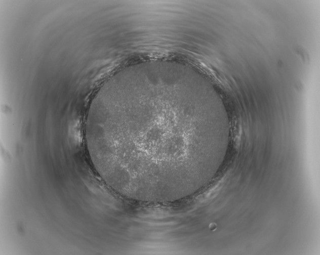 X0000091340962200708101441