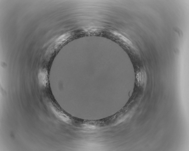 X0000091340963200708101441