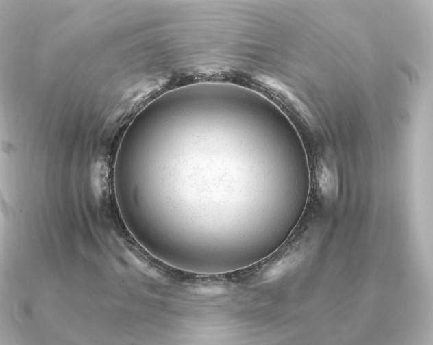 X0000091340964200708101441