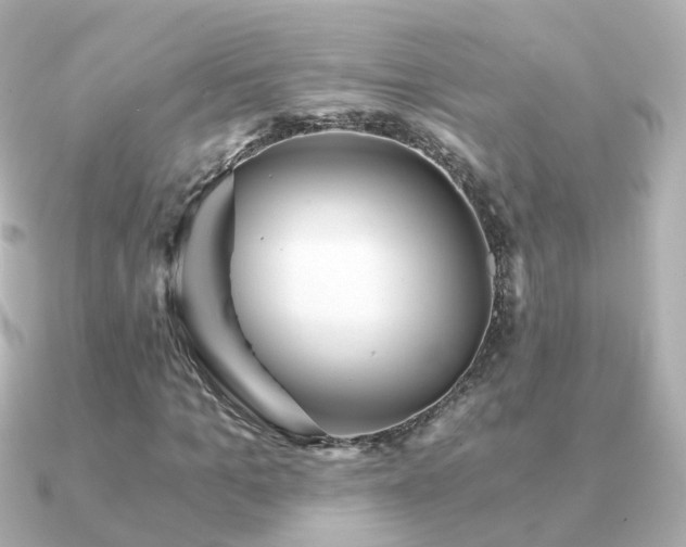 X0000091340965200708101441