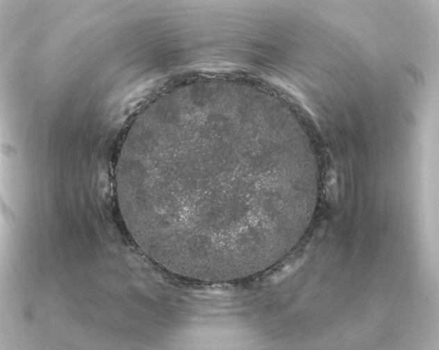 X0000091340966200708101441