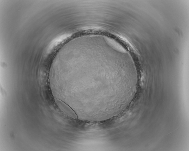 X0000091340967200708101441