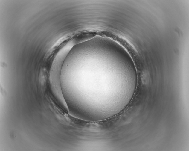 X0000091340968200708101441
