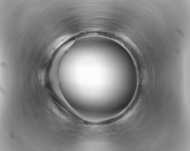 X0000091340969200708101441