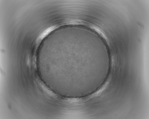 X0000091340970200708101441
