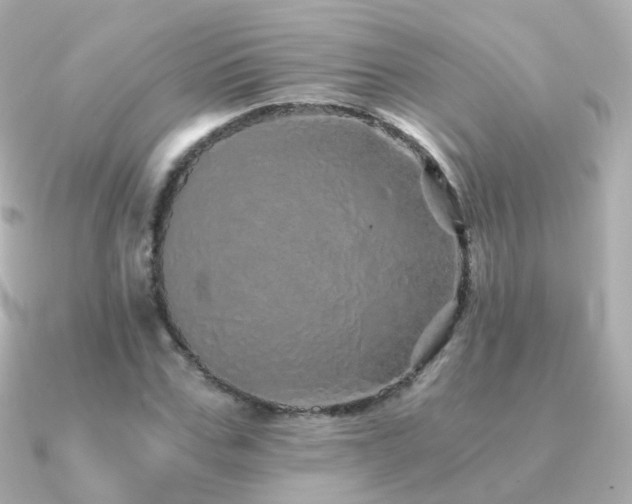 X0000091340971200708101441