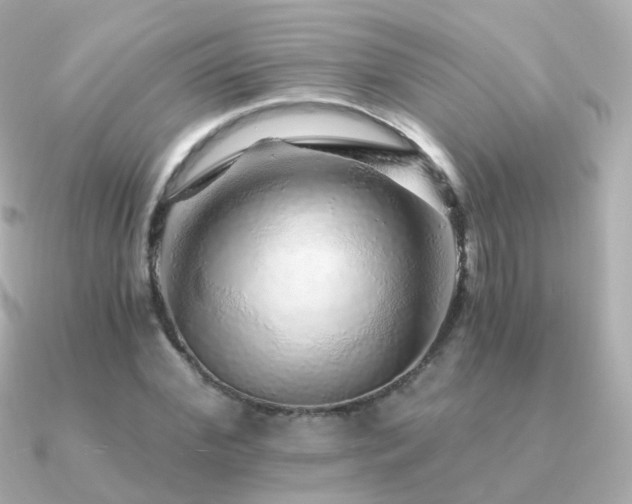 X0000091340972200708101440