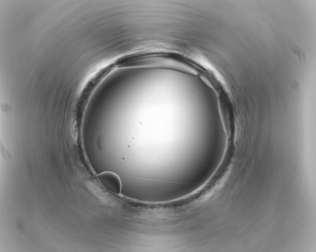 X0000091340973200708101440