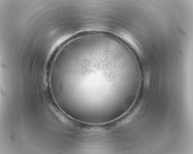 X0000091340974200708101440