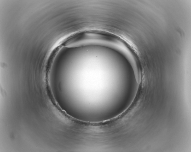X0000091340976200708101440