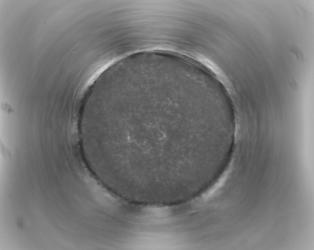 X0000091340977200708101440