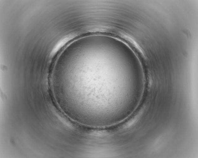 X0000091340978200708101440