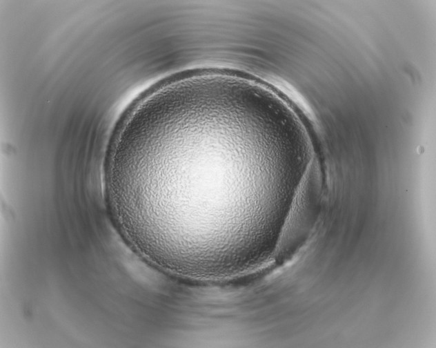 X0000091340980200708101440