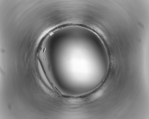 X0000091340981200708101440