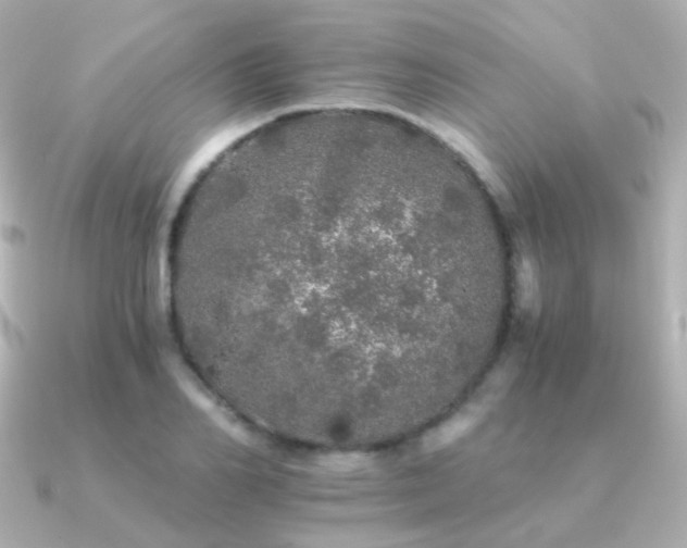 X0000091340982200708101440