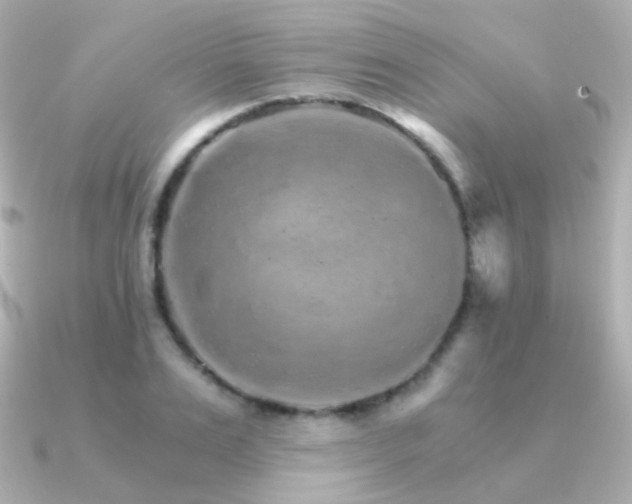 X0000091340983200708101440