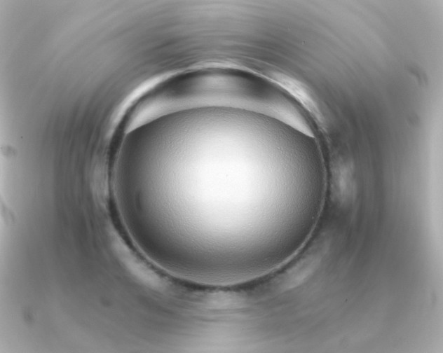 X0000091340984200708101440