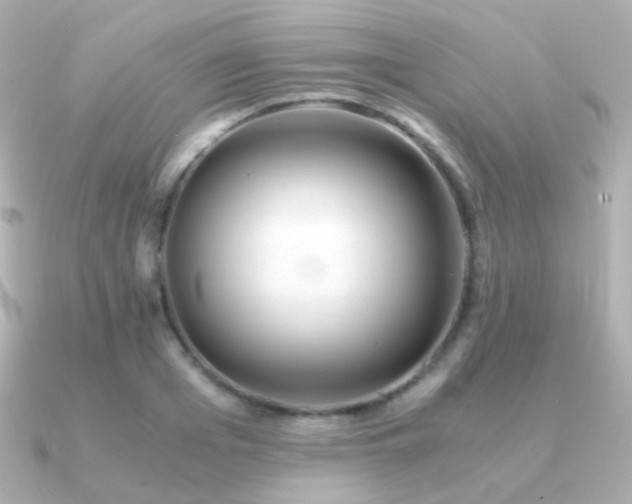 X0000091340985200708101440