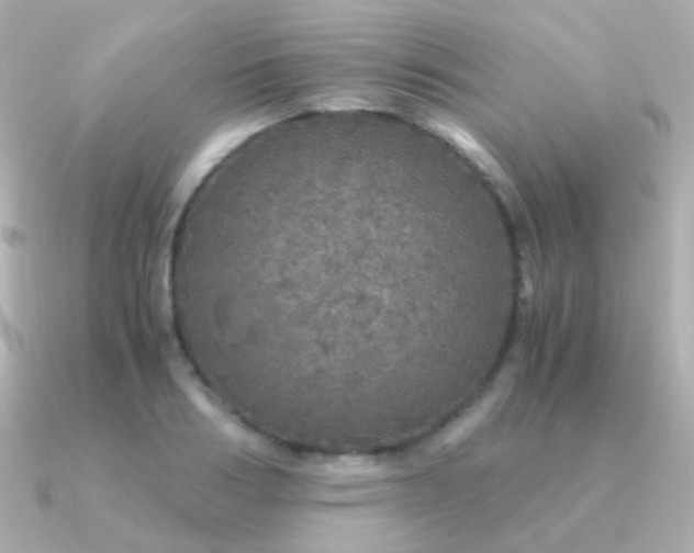 X0000091340986200708101440