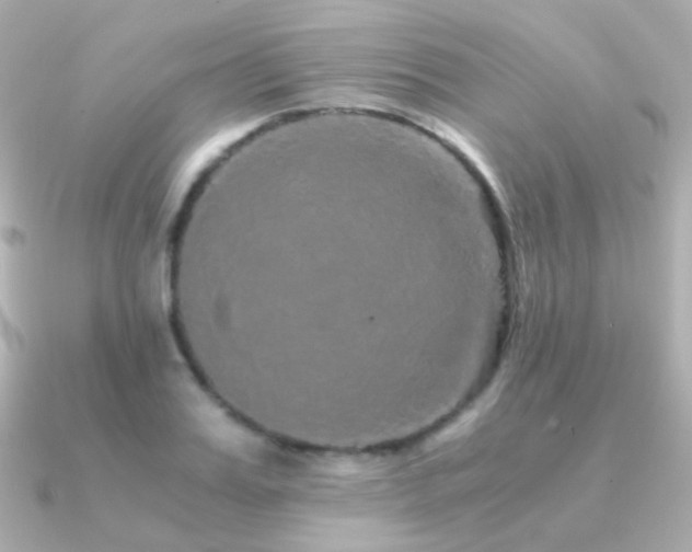 X0000091340987200708101440