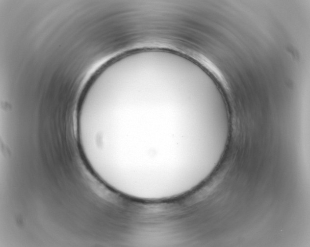 X0000091340988200708101440
