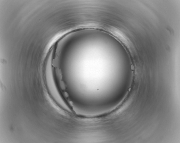 X0000091340989200708101440