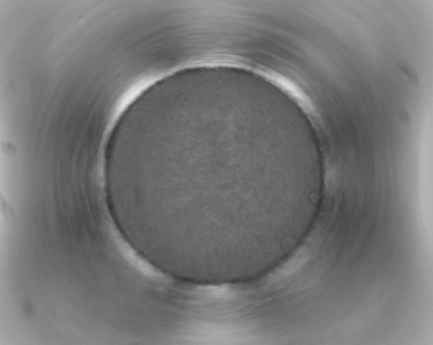 X0000091340990200708101440