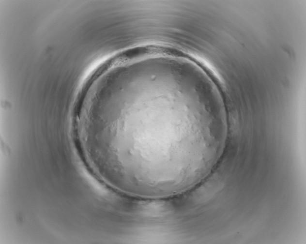 X0000091340991200708101440