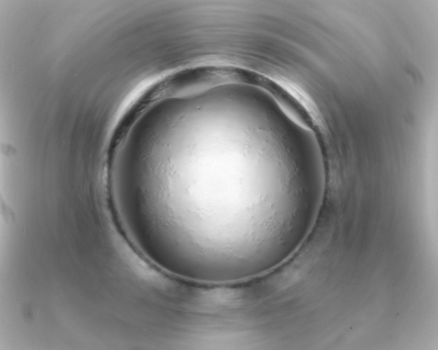 X0000091340992200708101440