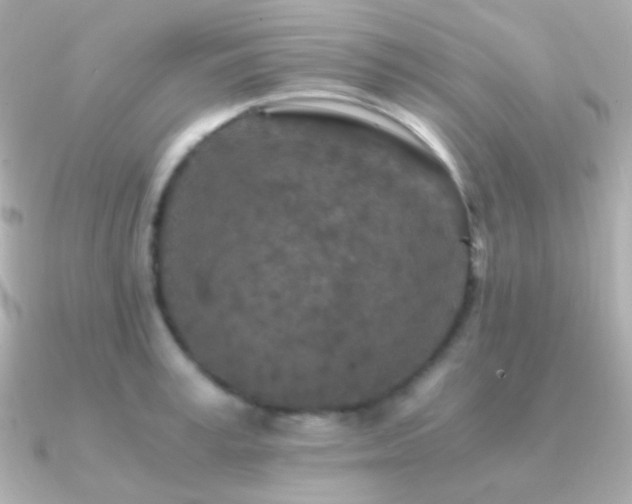 X0000091340995200708101440