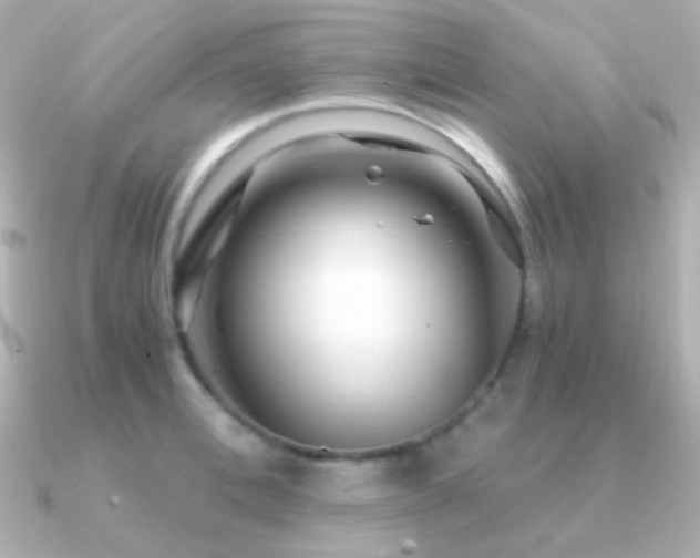 X0000091340996200708101440