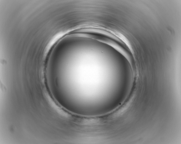 X0000091340997200708101440