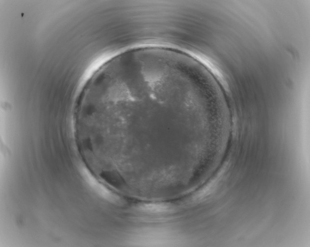 X0000091340998200708101440