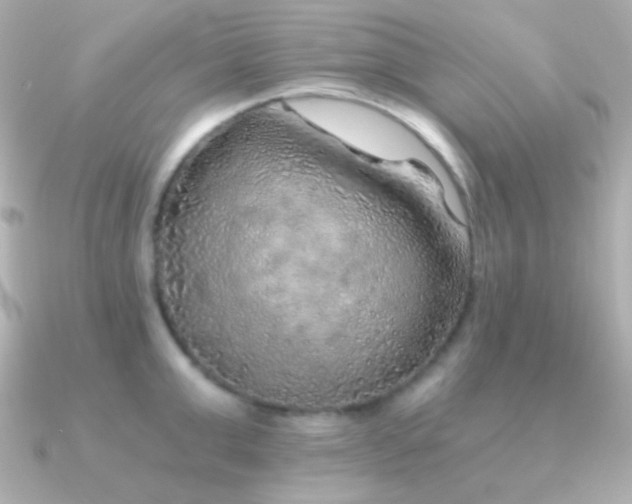 X0000091340999200708101440
