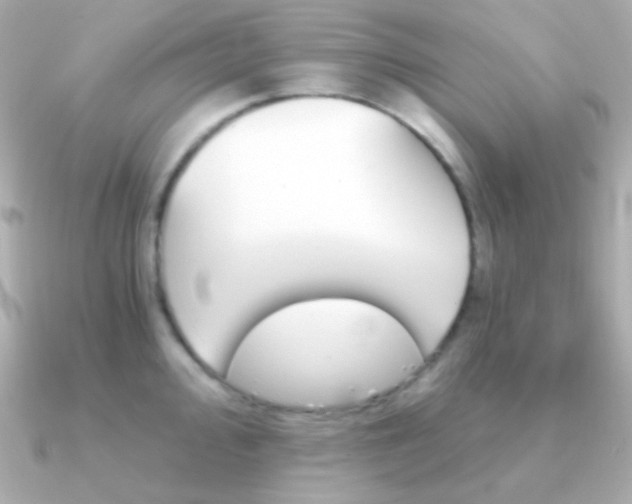 X0000091341000200708101440