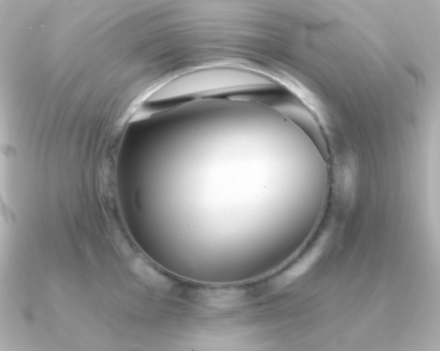X0000091341001200708101440