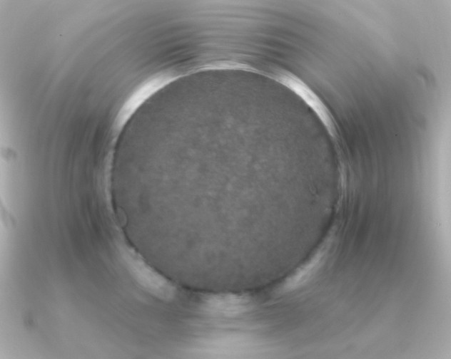 X0000091341002200708101440
