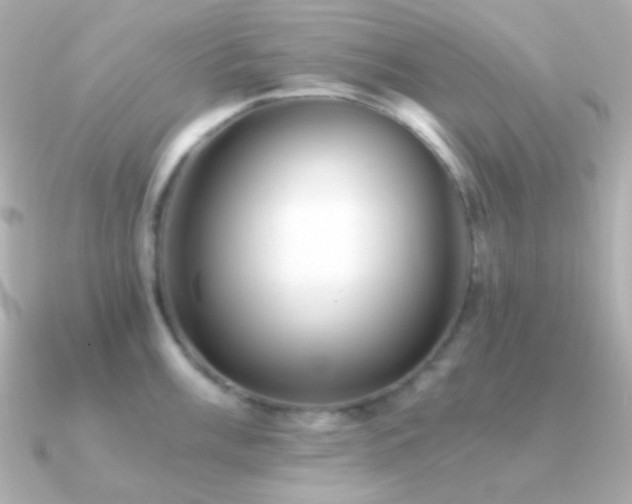 X0000091341003200708101440
