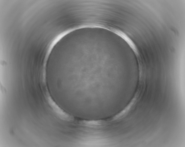 X0000091341004200708101440