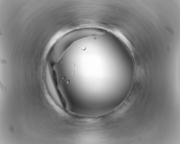 X0000091341005200708101440