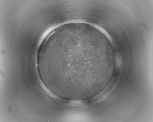 X0000091341006200708101440