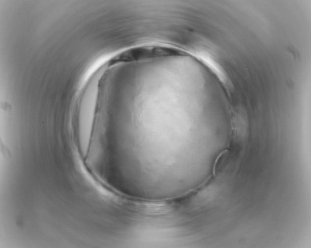 X0000091341007200708101440