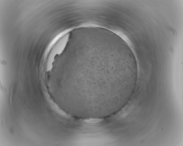 X0000091341008200708101440