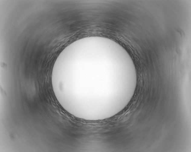 X0000091341010200708101440