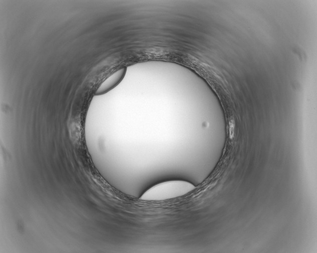 X0000091341011200708101440