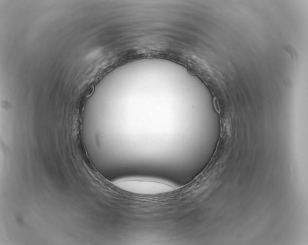 X0000091341012200708101440