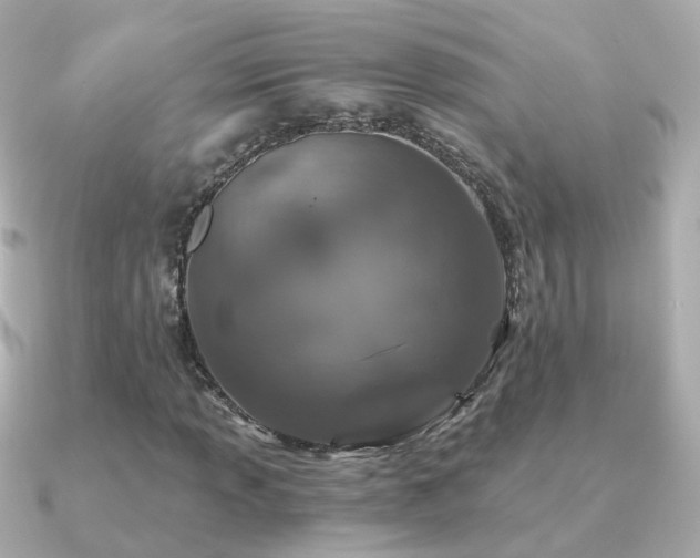 X0000091341013200708101440