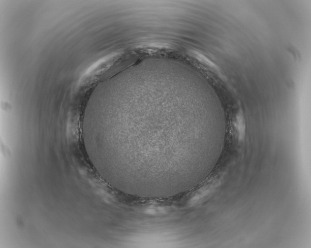 X0000091341014200708101440