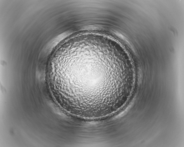 X0000091341017200708101440