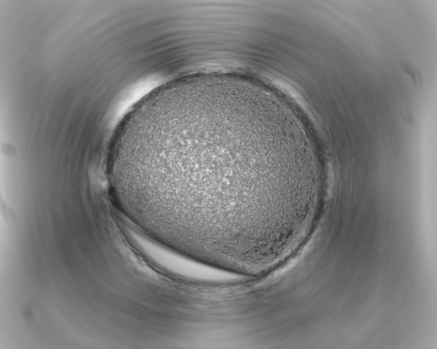 X0000091341018200708101440